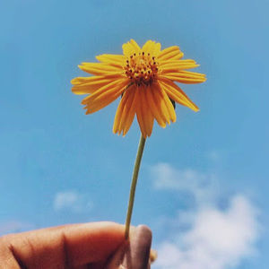 Meet your Posher, Carley